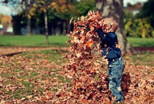 boy-playing-with-fall-leaves-outdoors